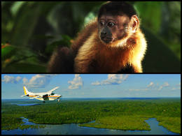 映画『アマゾン大冒険〜世界最大のジャングルを探検しよう！〜』 