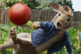映画『ピーターラビット』