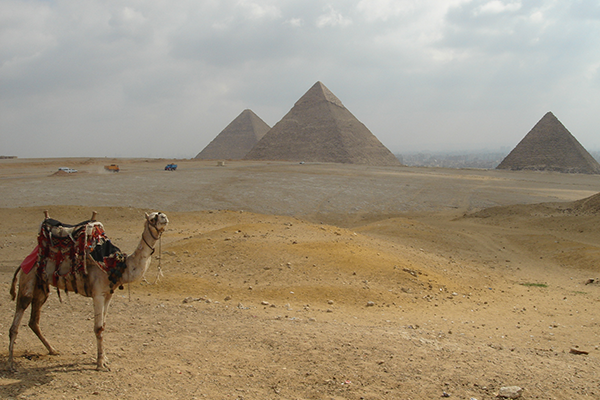 マイソン一人旅：エジプト