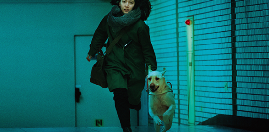 映画『見えない目撃者』吉岡里帆