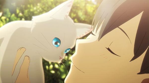 Netflixアニメ映画『泣きたい私は猫をかぶる』