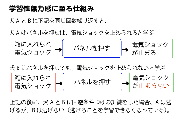 心理学：学習性無力感の仕組み図（犬の実験）