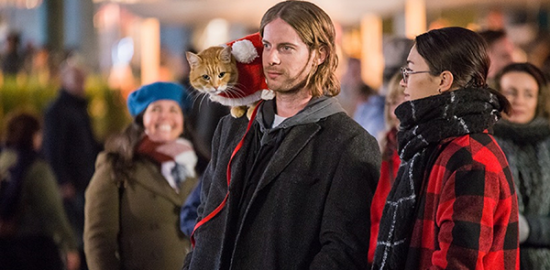 映画『ボブという名の猫2 幸せのギフト』ルーク・トレッダウェイ／クリスティーナ・トンテリ=ヤング
