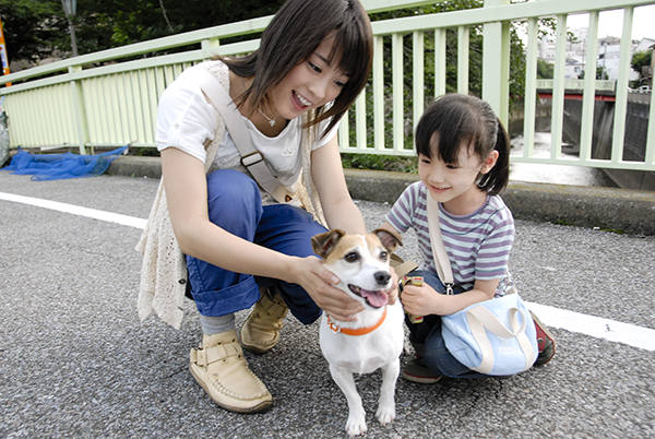 映画『犬とあなたの物語』芦田愛菜
