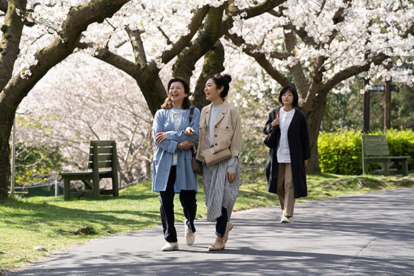 映画『わたしのお母さん』井上真央／石田えり／阿部純子