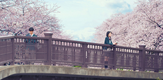 映画『君の膵臓をたべたい』浜辺美波／北村匠海