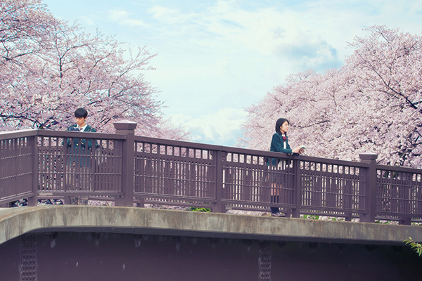 映画『君の膵臓をたべたい』浜辺美波／北村匠海