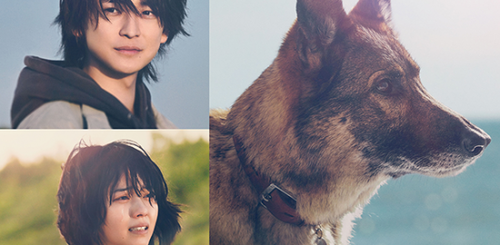 映画『少年と犬』高橋文哉／西野七瀬