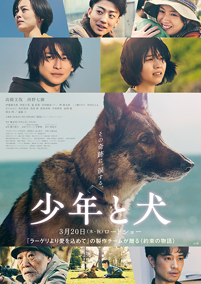 映画『少年と犬』高橋文哉/西野七瀬/伊藤健太郎/伊原六花/宮内ひとみ/柄本明/斎藤工