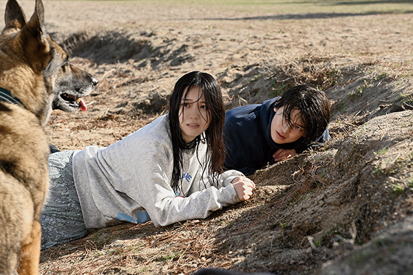 映画『少年と犬』高橋文哉/西野七瀬