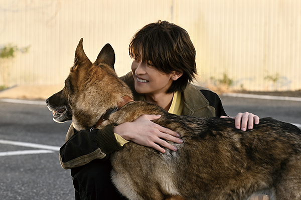映画『少年と犬』高橋文哉