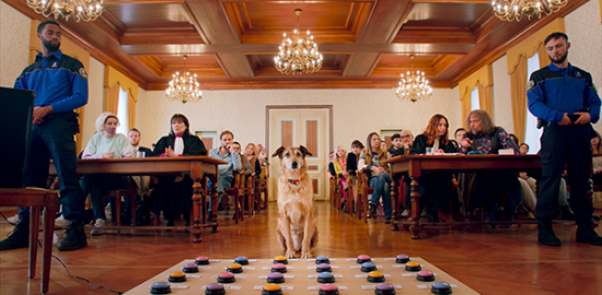 映画『犬の裁判』レティシア・ドッシュ