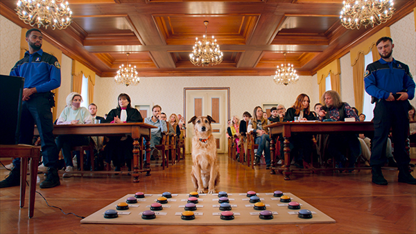 映画『犬の裁判』レティシア・ドッシュ