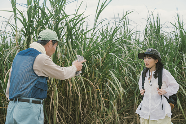 映画『風のマジム』伊藤沙莉／肥後克広