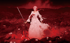 映画『果てしなきスカーレット』