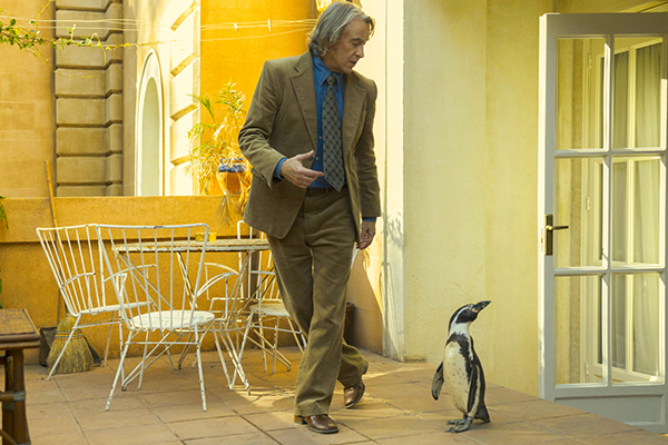 映画『ペンギン・レッスン』スティーヴ・クーガン