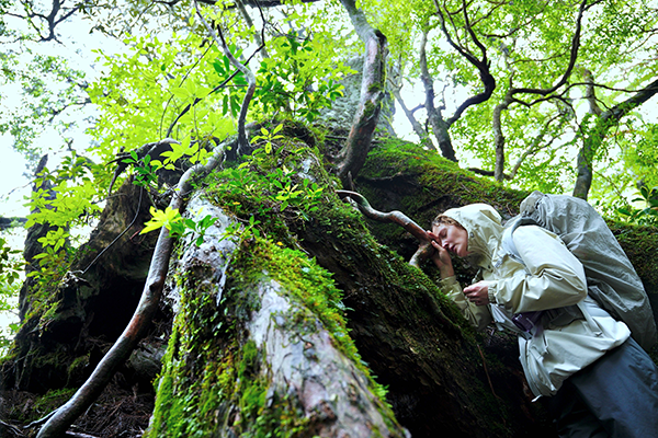 映画『たしかにあった幻』ヴィッキー・クリープス