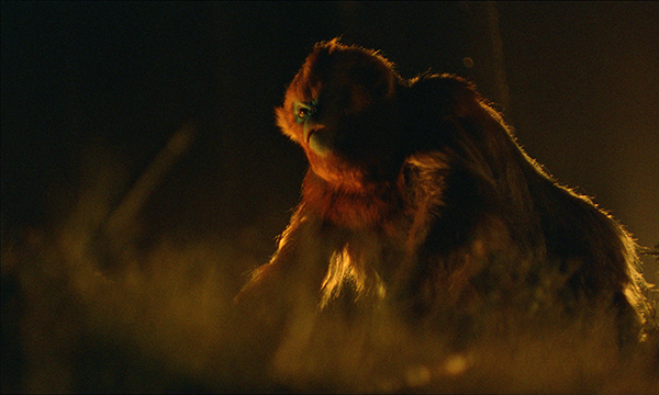 映画『OCHI! -オチ-』