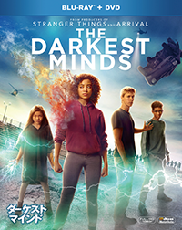 未公開作品のなかから、当部が気になる作品、オススメしたい作品をご紹介。