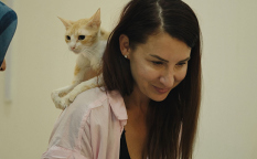 映画『猫たちと7000マイルの旅』ケイティ・マクヒュー