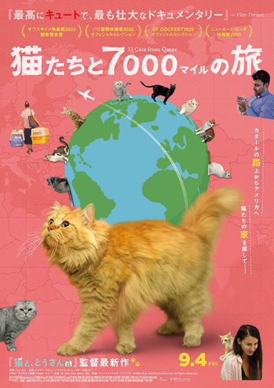映画『猫たちと7000マイルの旅』