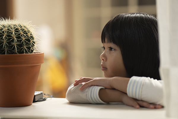 映画『私はあなたを知らない、』倉田瑛茉