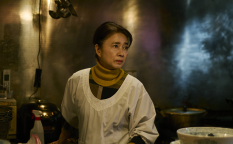 映画『白鳥とコウモリ』風吹ジュン