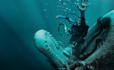 映画『クジラに落ちた男』オースティン・エイブラムス
